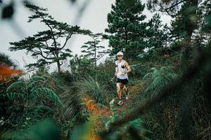 BIB: 
                            <button type="button" onclick="openModal(25258343)" class="btn btn-primary btn-sm float-right btn-popup" data-toggle="modal" data-target=".modal-high-quality">
                        <i class="fas fa-shopping-cart"></i> Add to Cart
                    </button>
                                            <button type="button" onclick="isThisMe(25258343, true)" class="btn btn-success btn-sm float-right btn-popup btn-isme hidden" data-toggle="tooltip" data-placement="bottom" title="นี่คือรูปของคุณใช่ไหม คลิกที่นี่เพื่อเอาเข้าอัลบั้ม">
                        <i class="fas fa-plus"></i> Add to album
                    </button>
                    <button type="button" onclick="isThisMe(25258343, false)" class="btn btn-warning btn-sm float-right btn-popup btn-isnotme hidden">
                        <i class="fas fa-ban"></i> Remove from album
                    </button>